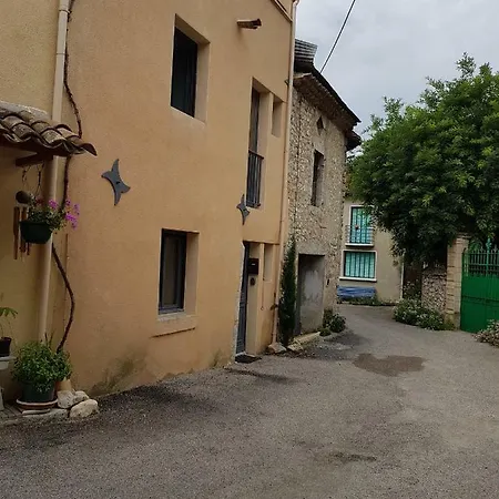 Rue Des Sophoras